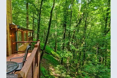 329 Laurel Ridge Drive, Blue Ridge, GA 30513 - Photo 22