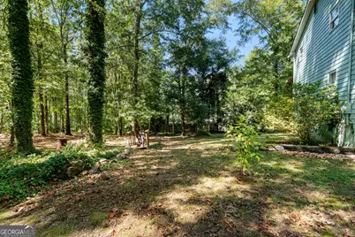 269 Roy Road, Sharpsburg, GA 30277 - Photo 88