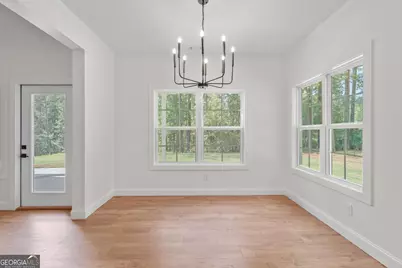 2424 Fischer Road, Sharpsburg, GA 30277 - Photo 22