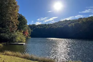 555 Laurel Ridge Dr, Ellijay, GA 30536 - Photo 6