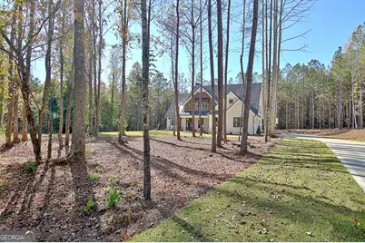 196 Bob Smith Road, Sharpsburg, GA 30277 - Photo 2