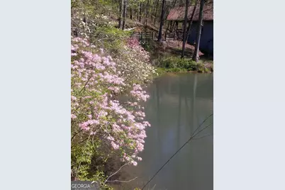 25 Clayton Chester Road, Dawsonville, GA 30534 - Photo 186