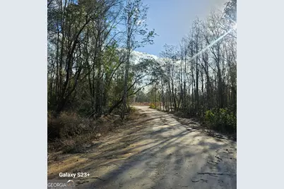 0 Mill Branch Club Road Lot 1P, Pembroke, GA 31321 - Photo 4
