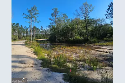 0 Mill Branch Club Road Lot 1N, Nevils, GA 31321 - Photo 2