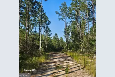 0 Mill Branch Club Road Lot 1N, Nevils, GA 31321 - Photo 1