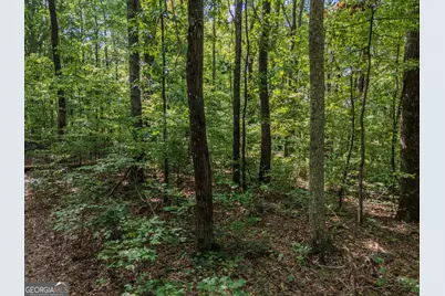 0 Clearview Drive, Talking Rock, GA 30175 - Photo 8