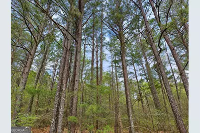 0.53 Acres Maddox Lake Road, Summerville, GA 30747 - Photo 4