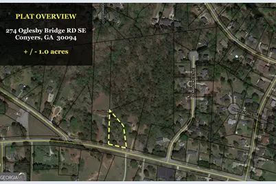 276 Oglesby Bridge Road SE, Conyers, GA 30094 - Photo 44