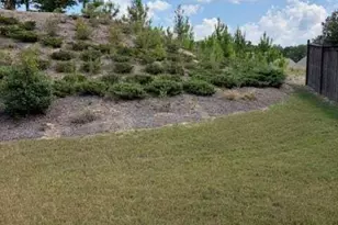 79 Wyevale Ct, Braselton, GA 30517 - Photo 20