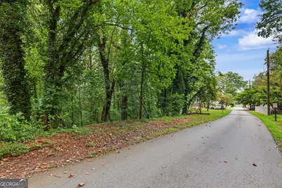 98 Pickett Hill Street, Clayton, GA 30525 - Photo 46