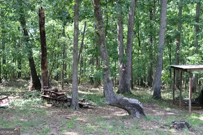 2096 Roy Woods Road, Comer, GA 30629 - Photo 36