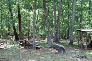 2096 Roy Woods Rd, Comer, GA 30629 - Photo 36