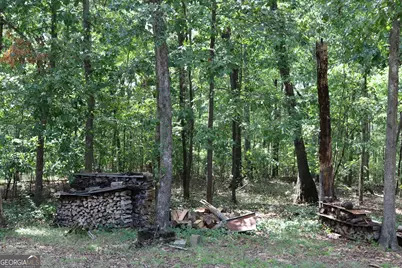 2096 Roy Woods Road, Comer, GA 30629 - Photo 44