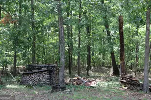 2096 Roy Woods Rd, Comer, GA 30629 - Photo 44