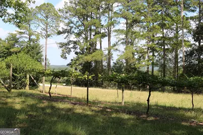 2096 Roy Woods Road, Comer, GA 30629 - Photo 24