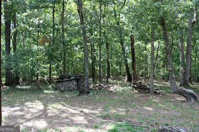 2096 Roy Woods Road, Comer, GA 30629 - Photo 38