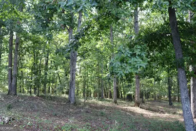 2096 Roy Woods Road, Comer, GA 30629 - Photo 14
