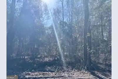 138-140 Dogwood Lane, Midway, GA 31320 - Photo 2