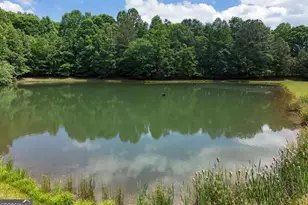 594 Summit Trace, Blairsville, GA 30512 - Photo 66