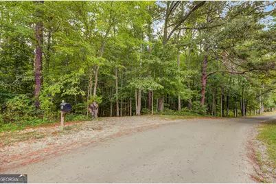 162 Thompson Road, Senoia, GA 30276 - Photo 30