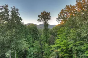 169 Walnut Mountain Rd, Ellijay, GA 30540 - Photo 58