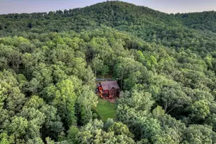 169 Walnut Mountain Rd, Ellijay, GA 30540 - Photo 62