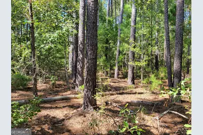 2753 Waynesboro Highway, Sylvania, GA 30467 - Photo 16