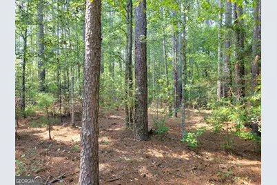 2753 Waynesboro Highway, Sylvania, GA 30467 - Photo 14