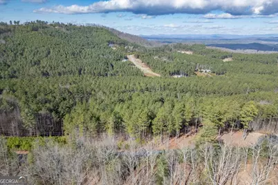 Lot 74 Thirteen Hundred #74, Blairsville, GA 30512 - Photo 4