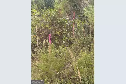 0 Cook Road TRACT #3, Monticello, GA 31064 - Photo 2