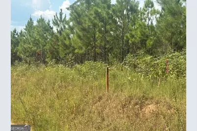 0 Cook Road TRACT #6, Monticello, GA 31064 - Photo 2