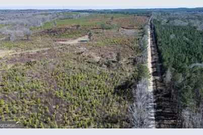 0 Cook Road TRACT #6, Monticello, GA 31064 - Photo 14