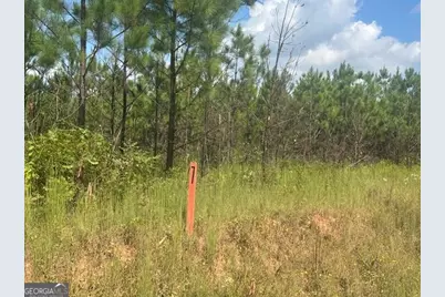 0 Cook Road TRACT #7, Monticello, GA 31064 - Photo 1