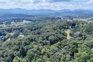 169 C H Colwell Dr, Blairsville, GA 30512 - Photo 46