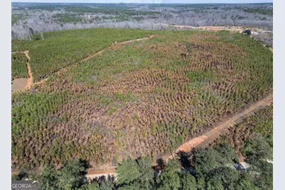 0 Cook Road TRACT #9, Monticello, GA 31064 - Photo 10