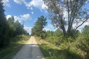 0 Cook Rd, Monticello, GA 31064 - Photo 1