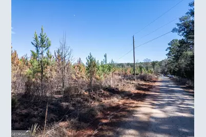0 Cook Road TRACT #12, Monticello, GA 31064 - Photo 10