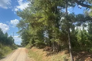 0 Cook Rd, Monticello, GA 31064 - Photo 1