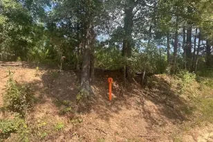 0 Cook Rd, Monticello, GA 31064 - Photo 1