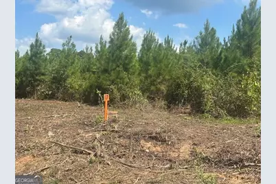 0 Millen Road TRACT #17, Monticello, GA 31064 - Photo 2