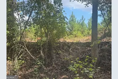 0 Millen Road TRACT #17, Monticello, GA 31064 - Photo 4