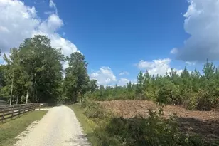 0 Millen Rd, Monticello, GA 31064 - Photo 1