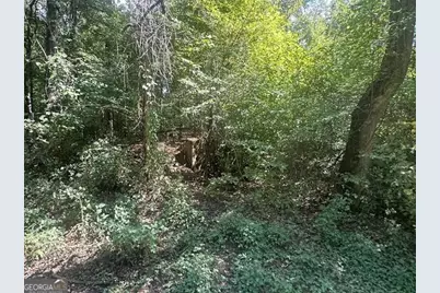 0 Millen Road TRACT #21, Monticello, GA 31064 - Photo 4