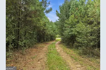 208 Garner Road, Cornelia, GA 30531 - Photo 28