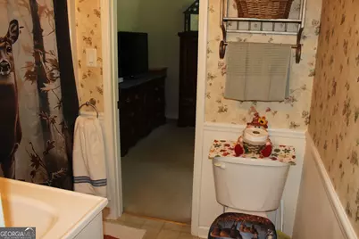 1280 Chalybeate Road, Manchester, GA 31816 - Photo 22