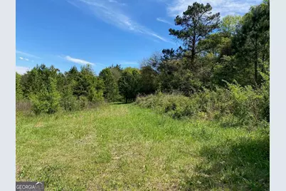 28 Acres Hwy 36E, Thomaston, GA 30286 - Photo 6
