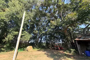 5587 Elberton Hwy, Hartwell, GA 30643 - Photo 48