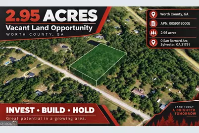 0 San Barnard Arcade, Sylvester, GA 31791 - Photo 1