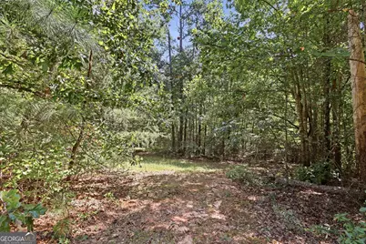 2952 Rock Creek Road, Toccoa, GA 30577 - Photo 46