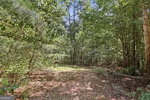 2952 Rock Creek Rd, Toccoa, GA 30577 - Photo 46